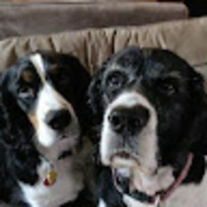 Meet your Posher, Keith